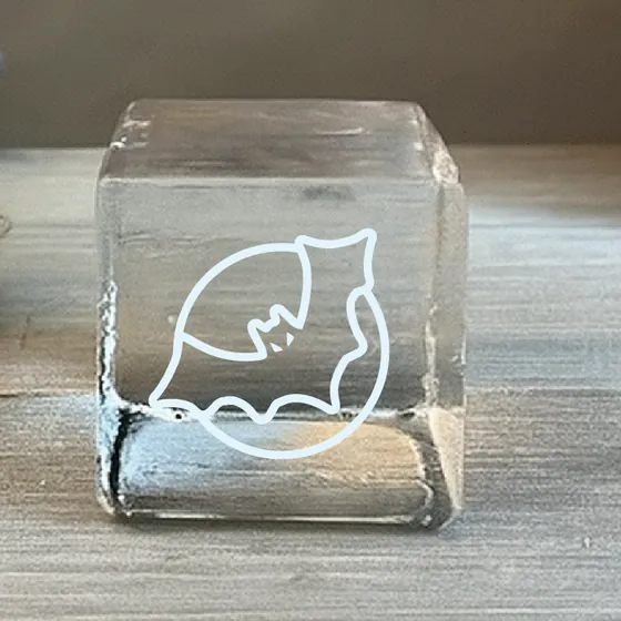 Etched Bat Cube
