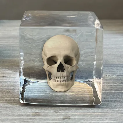 Skull Logo Cube